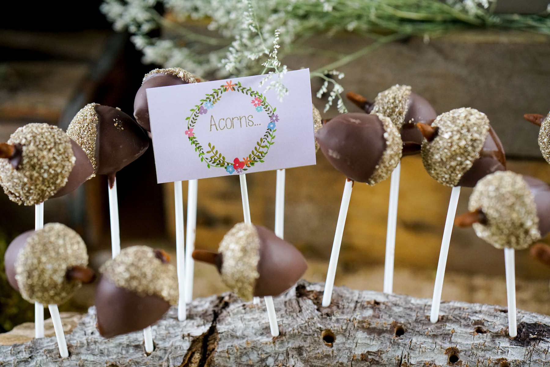 Boho Enchanted Forest Party Acorn Cake Pops And Editable Food Labels