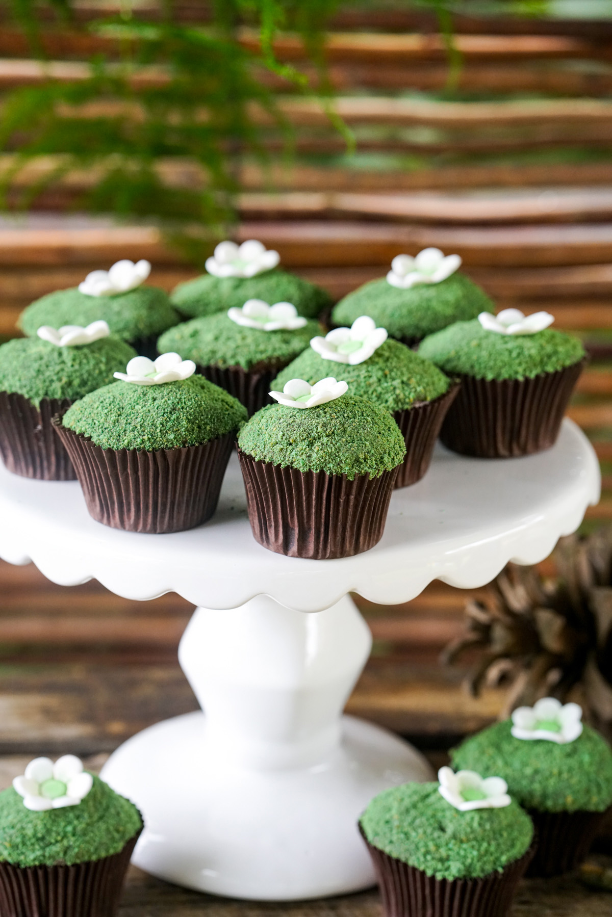 Boho Enchanted Forest Party Cupcake Ideas with green coconut placed on top as moss and finished off with a white daisy
