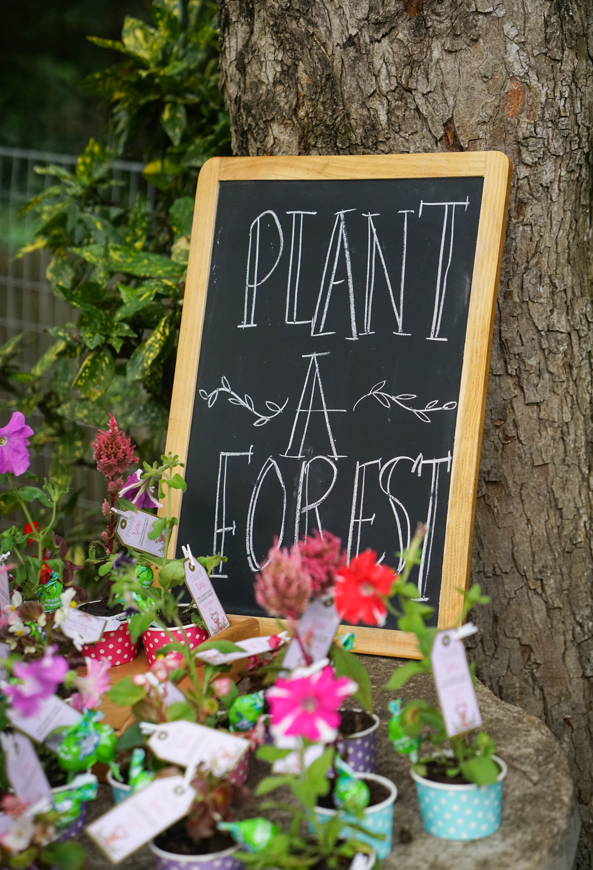 Enchanted Woodland Forest Party Ideas