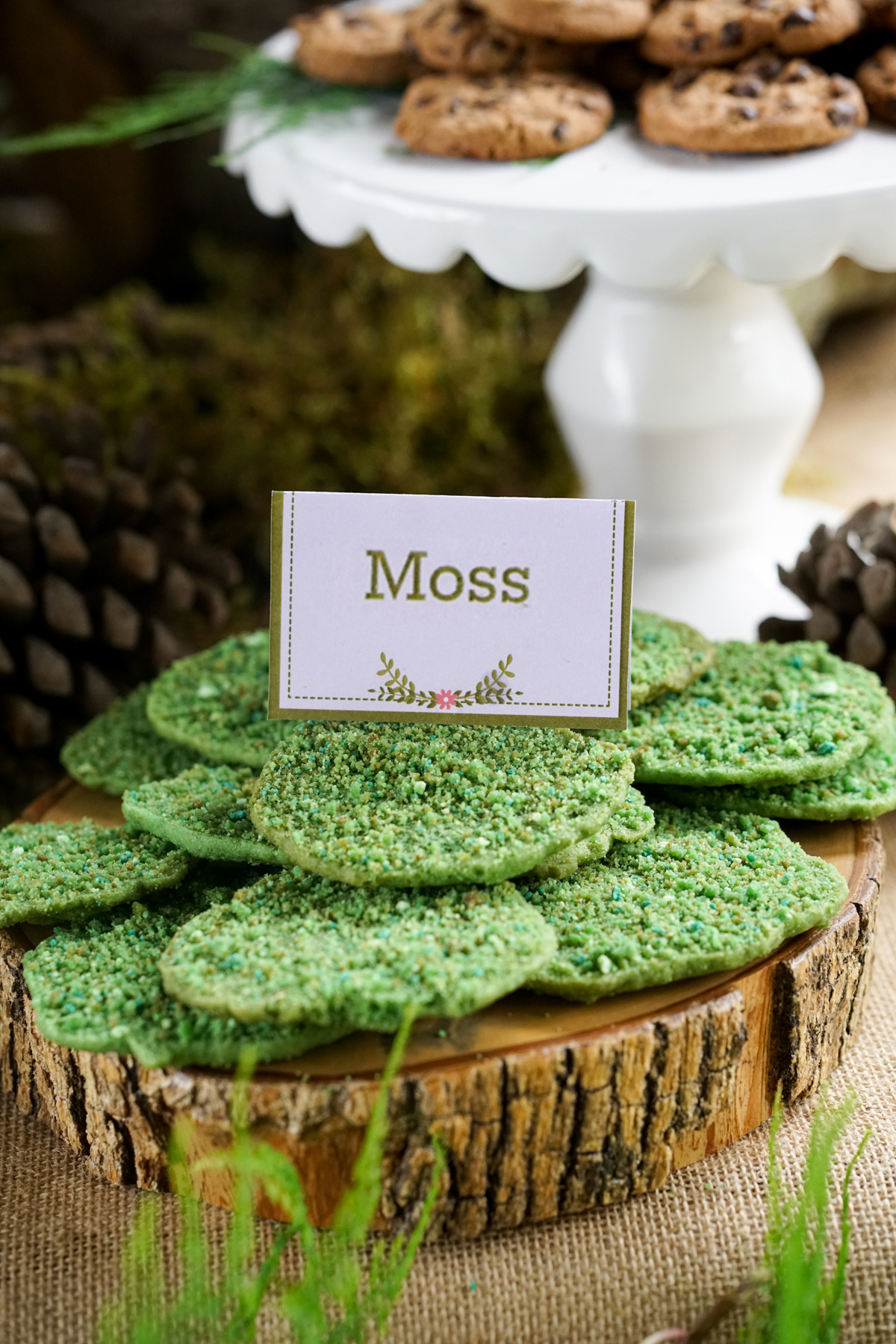 Boho Enchanted Forest Party Tent Card Food Labels with Moss sugar cookies sprinkled with green coconut