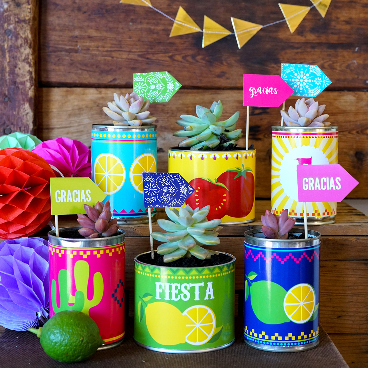 Fiesta Party Favors - Tin Can planters in bright colors
