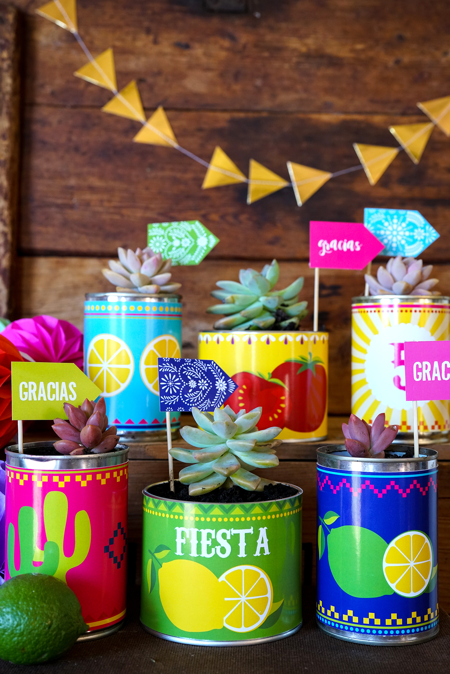 Fiesta Party Favors Tin Can Planters with bright colors and 6 different wrapper designs