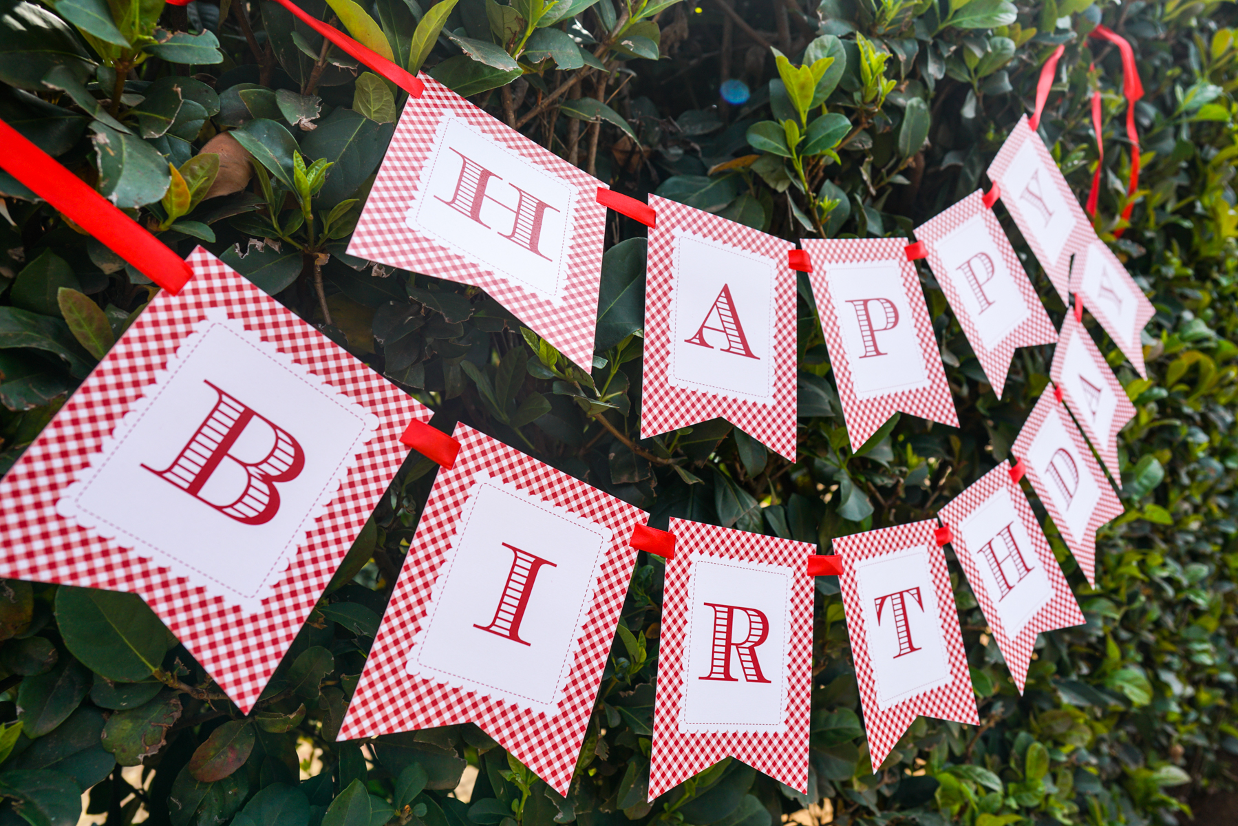Little Red Riding Hood Party Printable Birthday Banner with red ribbon