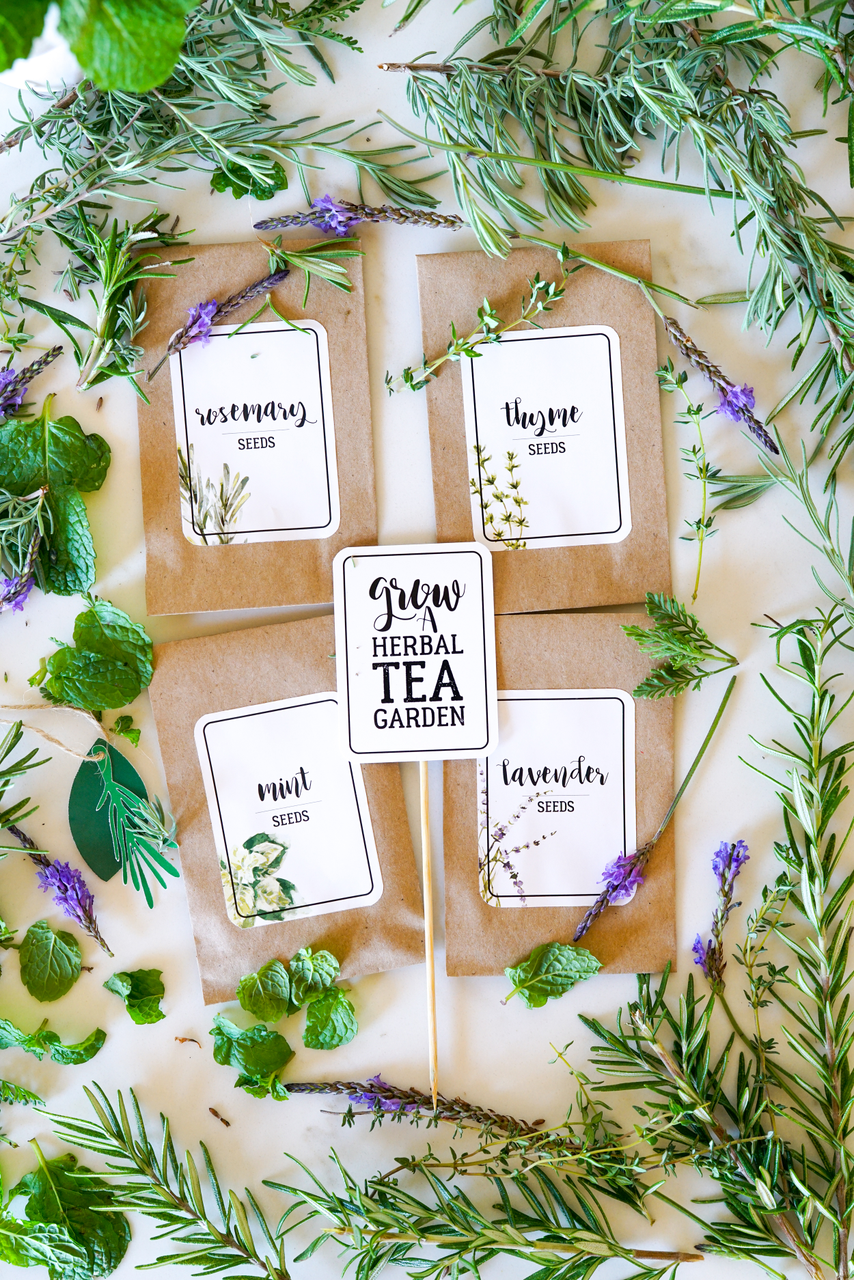 Grow a Herbal Tea Garden Printable Labels