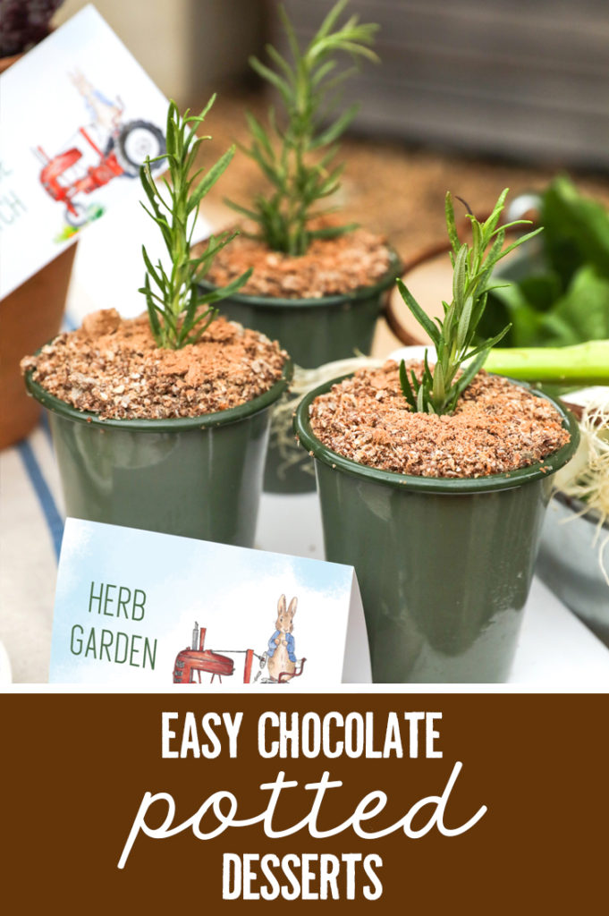 A pretty plant? NO, it's a chocolate potted dessert, and it's delicious! Get the recipe here!