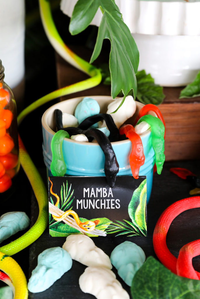 Snake Party Sweets in color theme - Mamba Munchies