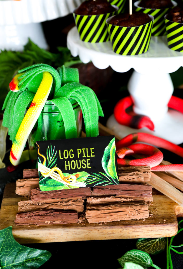 Snake Party Sweets in color theme - Log Pile House