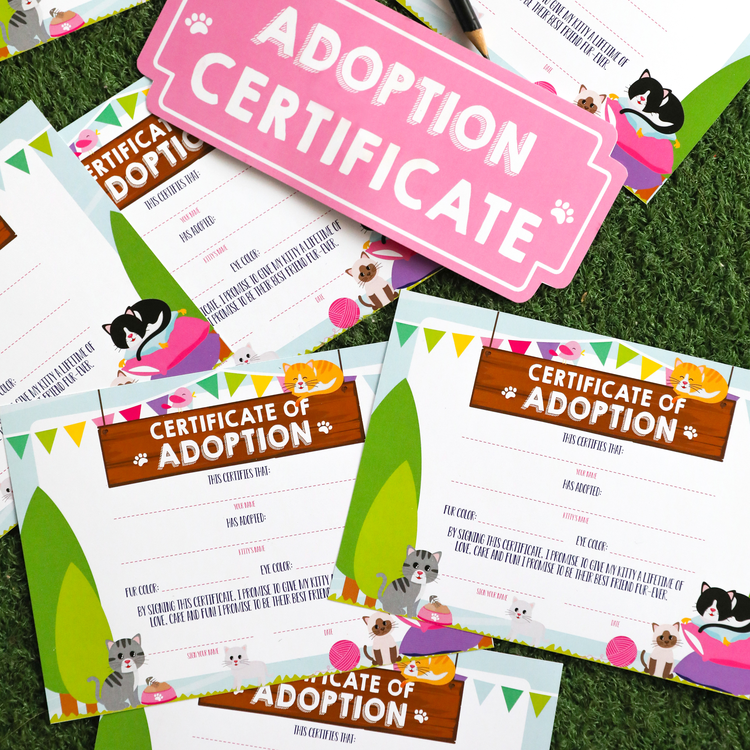 Printable Kitty Adoption Certificate