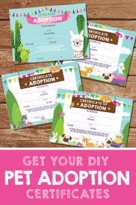 Make It Official With Pet Adoption Certificates - Sunshine Parties