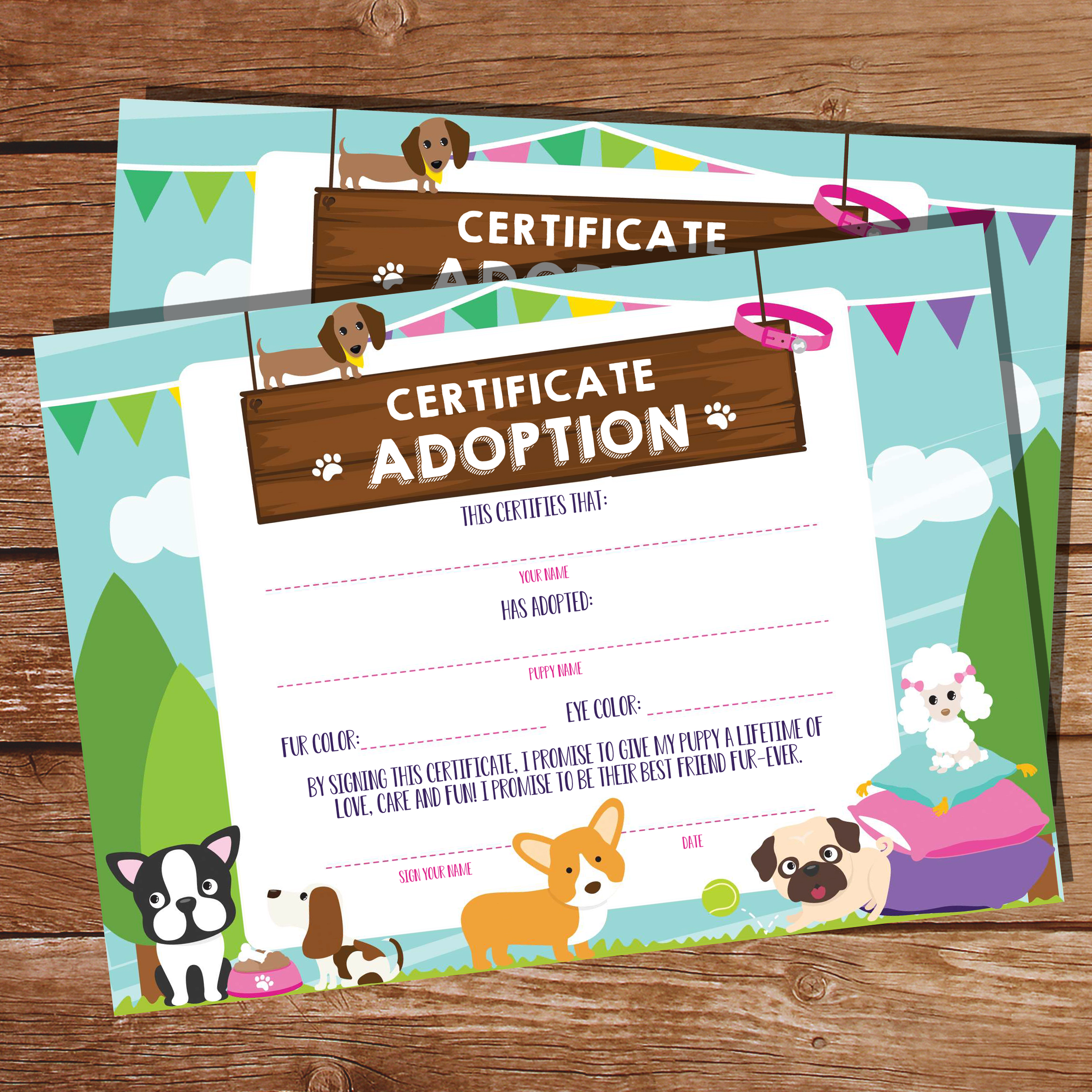 Printable Puppy Adoption Certificate
