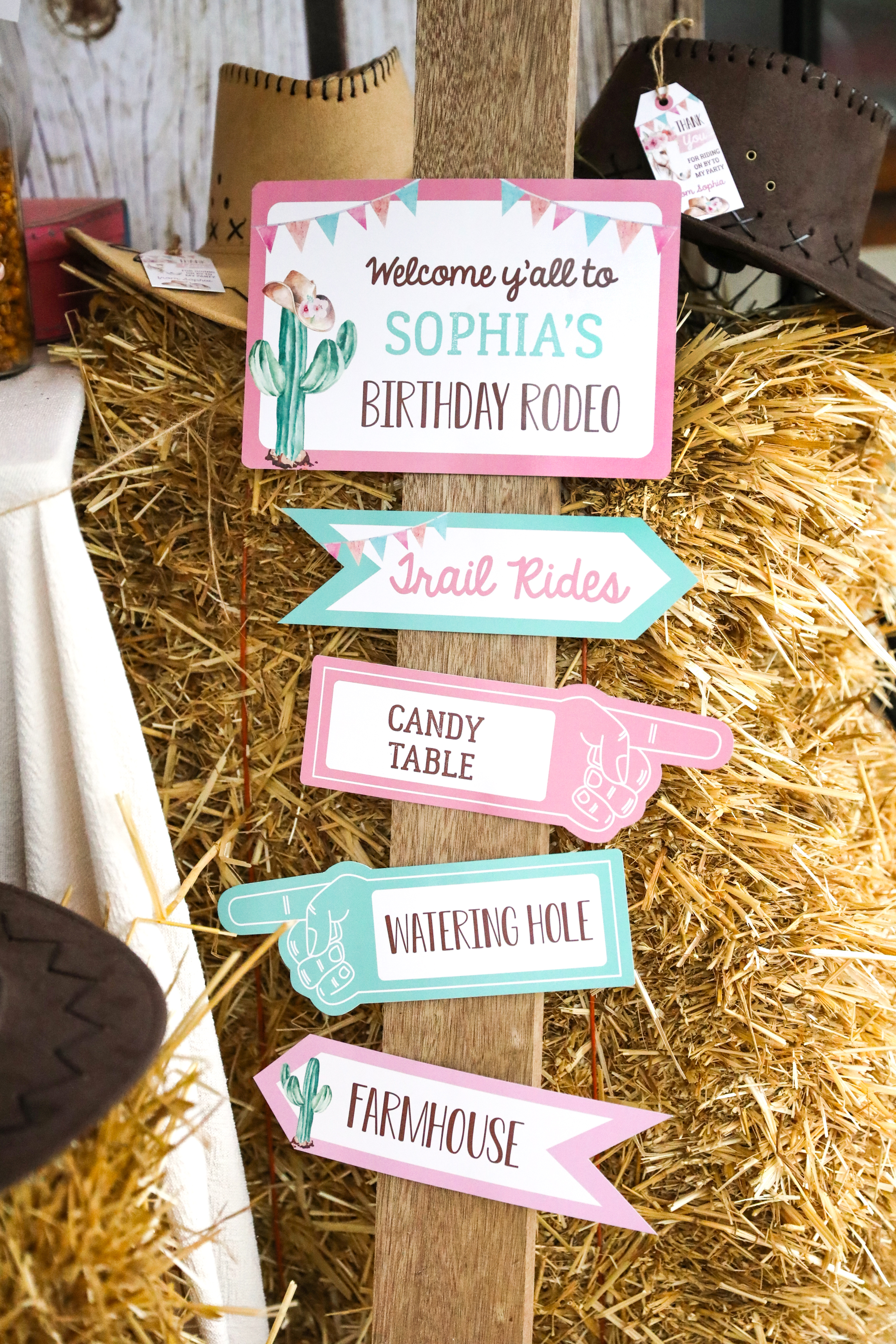 Cowgirl Party Printable Road Signs