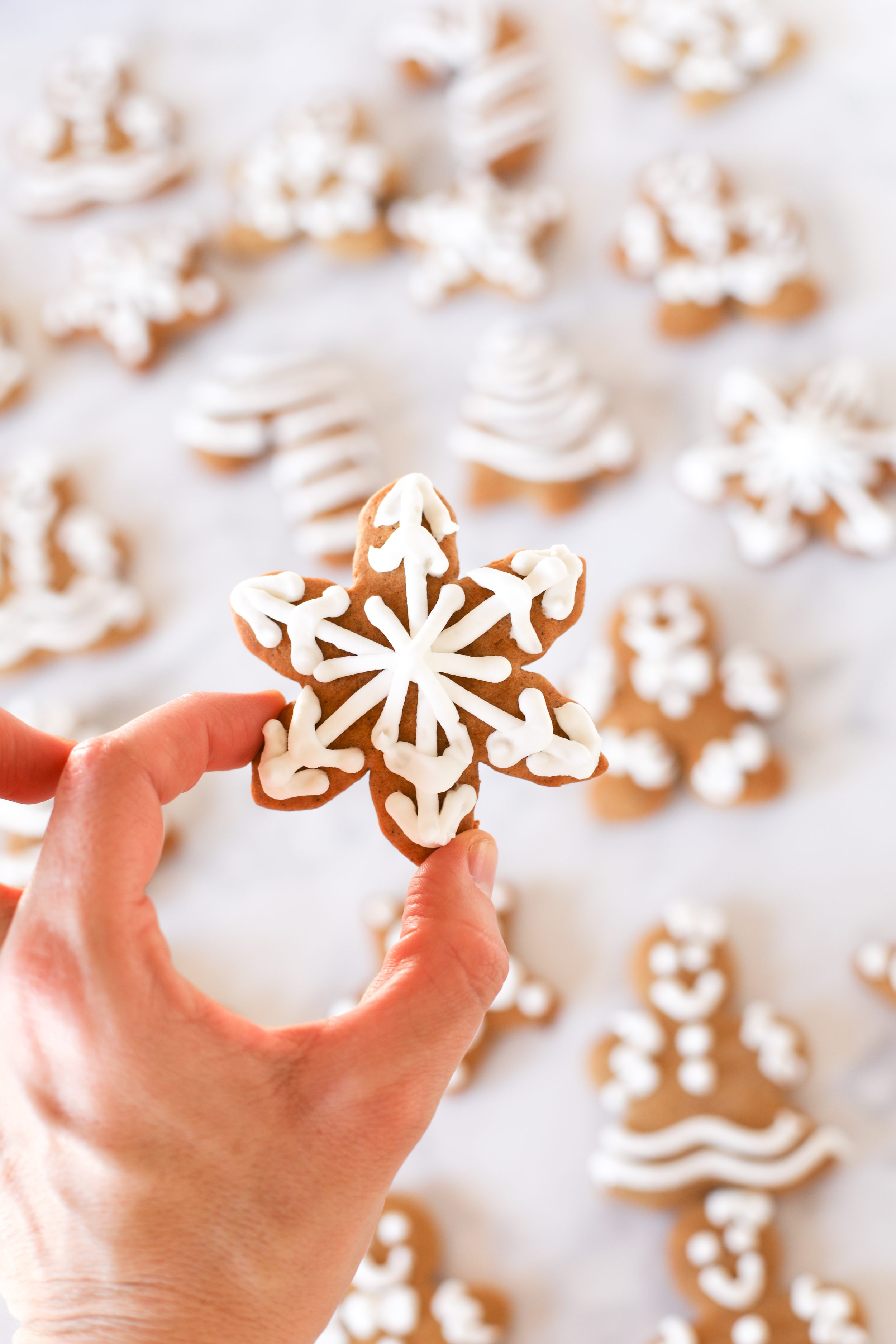 Gingerbread Christmas Cookies Recipe